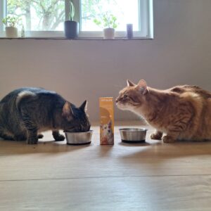 470021800_122126825906402740_3007390779578403444_n