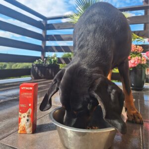 470047236_122126815736402740_5162811269436596531_n