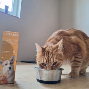 470170160_122126830838402740_779801368724406504_n