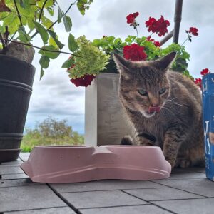 470189008_122126826494402740_214136650792463624_n