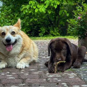 511097486_122148237710402740_5608187496377377354_n