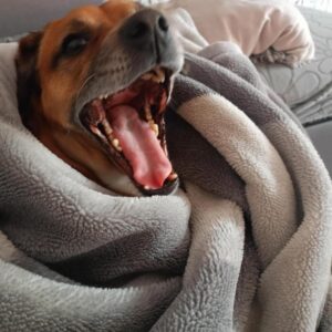 WhatsApp Image 2025-06-27 at 23.35.46-2