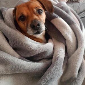 WhatsApp Image 2025-06-27 at 23.35.47-2