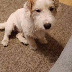 WhatsApp Image 2025-06-27 at 23.35.47