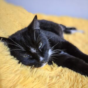 WhatsApp Image 2025-06-27 at 23.35.48