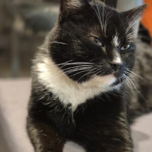 WhatsApp Image 2025-06-27 at 23.35.49-2