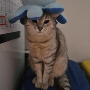 WhatsApp Image 2025-06-27 at 23.35.50-2