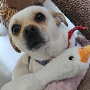 WhatsApp Image 2025-06-27 at 23.35.50