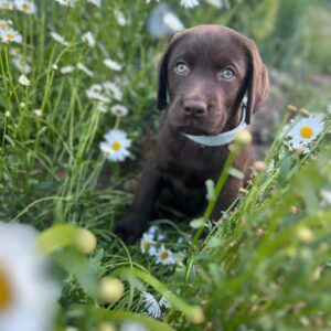 WhatsApp Image 2025-06-27 at 23.35.53