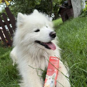 WhatsApp Image 2025-06-30 at 14.44.47